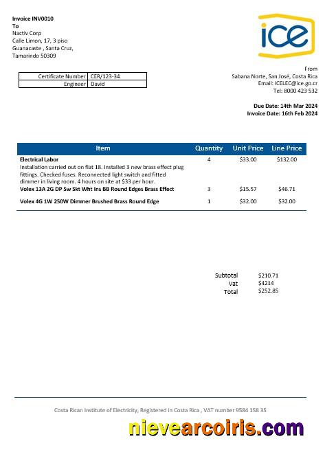 Costa Rica Costa Rican Institute of Electricity business utility bill
